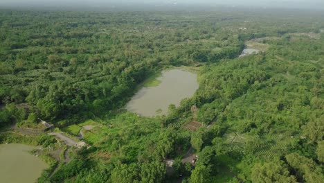 Lake-with-green-color-as-a-result-of-mining-activity-surrounded-by-dense-forest