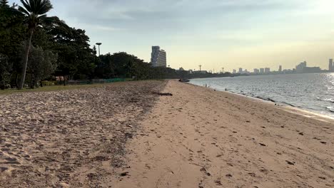 serene beach scene with distant city skyline