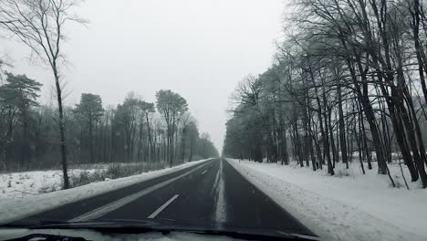 pov vehicle drive countryside wet road winter scenery snow forest bare trees dirty window gopro point of view car travel cloudy sky