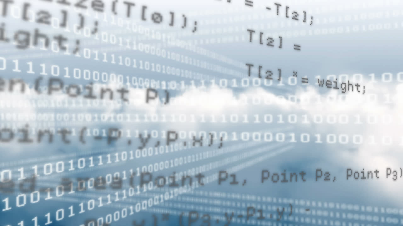 Program and binary codes