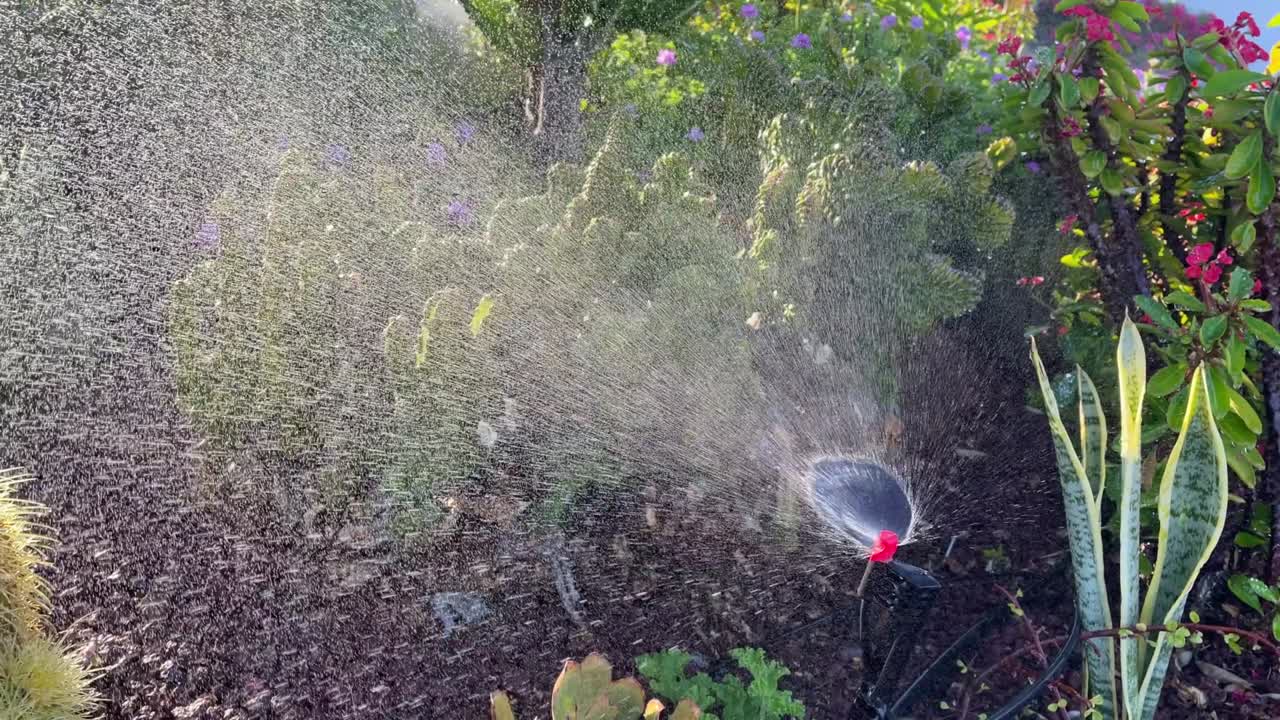 Lawn irrigation system, lawn sprinkler for watering grass and flowers.