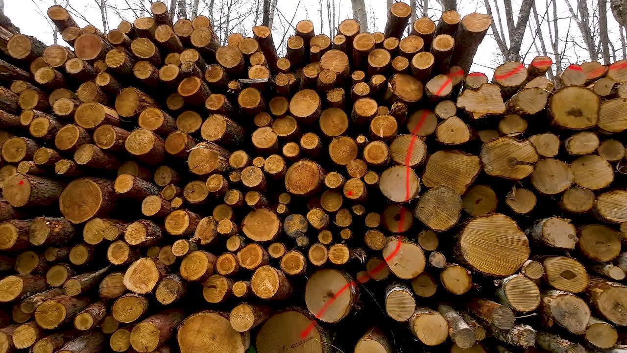 상업적 목재 산업의 후유증인 쌓인 목재 로그