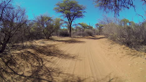caminos del parque nacional kalahari, semi desierto