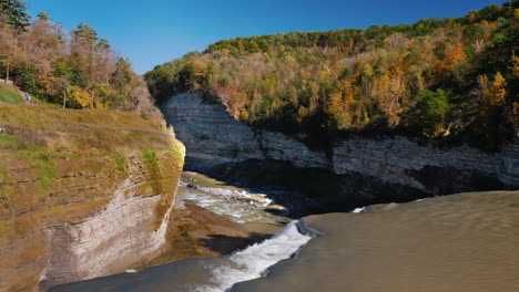 genesee river and autumnal forest