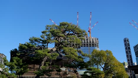 juxtaposition of japanese temple against backdrop of new high rise buildings