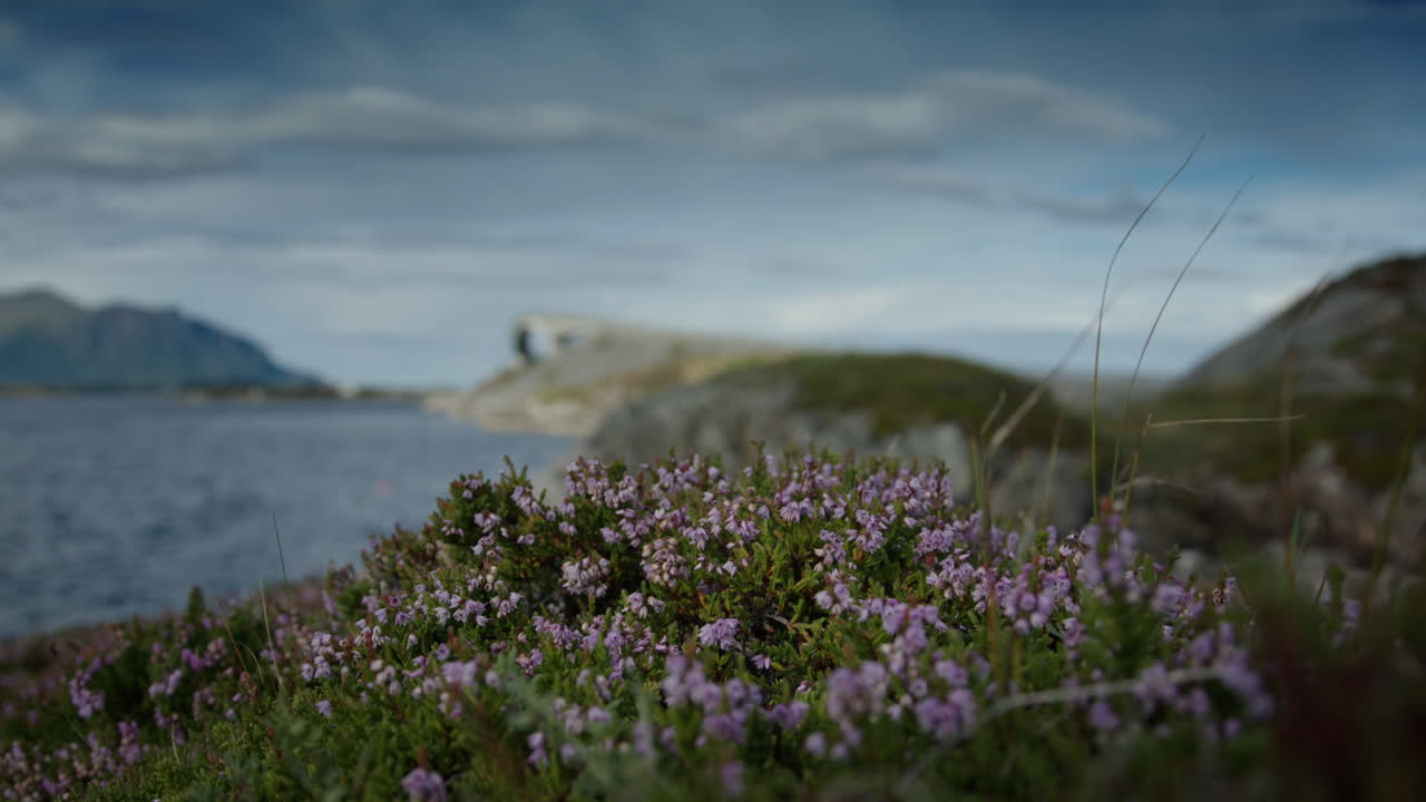 Atlanterhavsveien bridge
