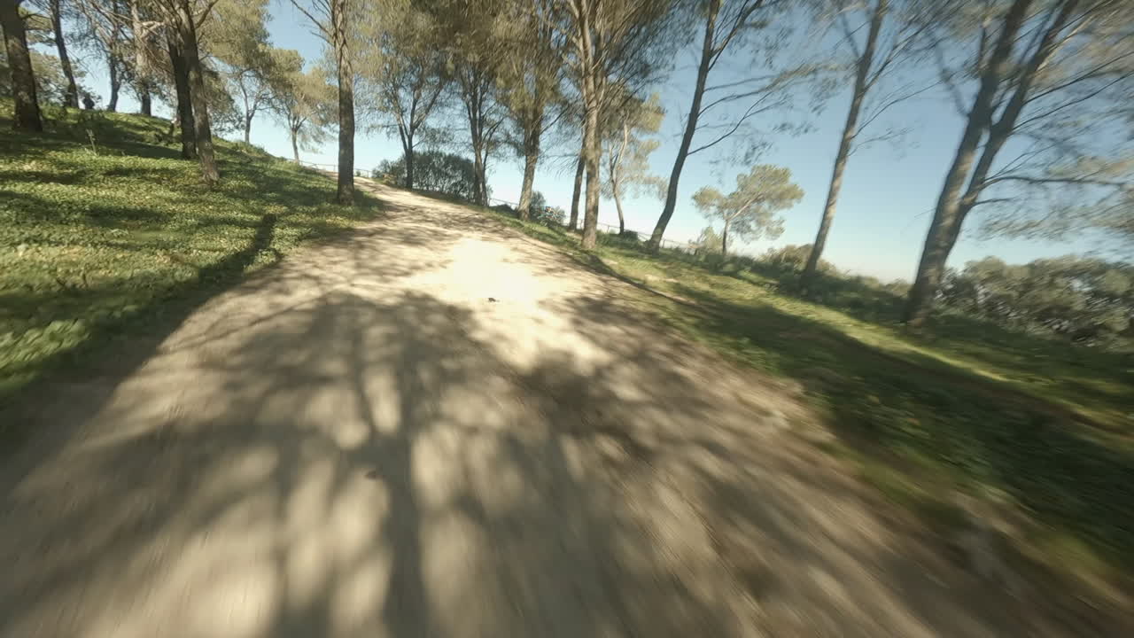 fpv pov는 숲 나무를 통해 비포장 도로로 날아가는 드론을 따라갑니다.