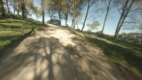 fpv pov sigue a un dron volando a través de los árboles del bosque hacia un camino de tierra