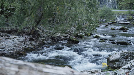 Slow-motion-footage-of-a-creek-with-water-flowing-over-rocks