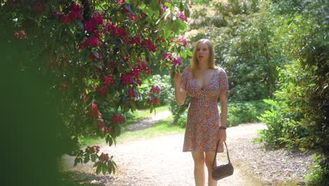 stabilised medium shot of young blonde woman admiring pink flowers in sheffield botanical gardens, england