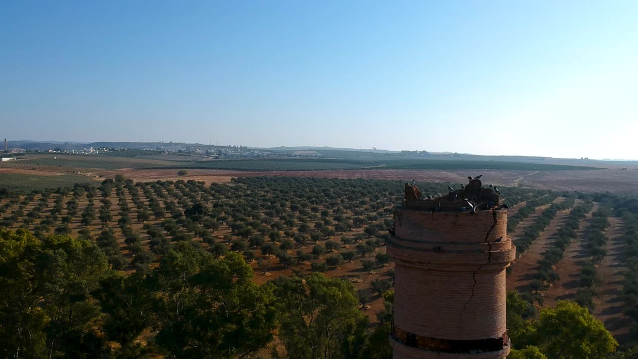 vista aérea panorámica de la cima de una torre con palomas y un horizonte plano y despejado.