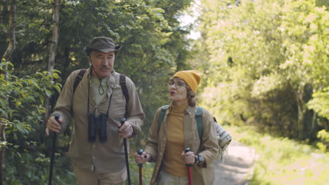 senior couple hiking in the forest