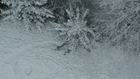 aerial rotational view of lithuania's nature