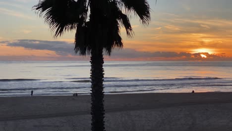 atardecer de silueta de playa amazónica reflejándose sobre el océano mientras el atardecer