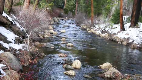 fixed camera shot of winter time stream with snow lined banks