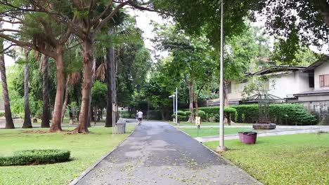 person walking through a serene garden path