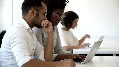 focused employees using laptop while sitting at office