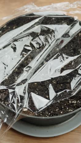 small pot with soil covered in plastic wrap, seeds planted for indoor germination