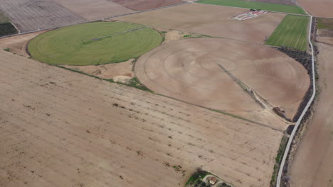 aerial view of circular irrigated fields