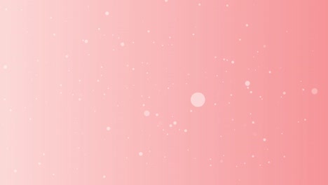 particles circle rotate on pink color background. glittering particles with bokeh. valentine day.