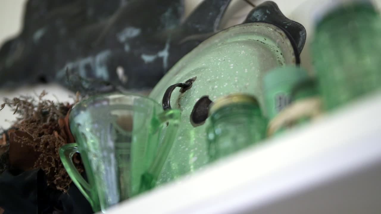 hermosos y raros objetos de colección antiguos expuestos en un estante