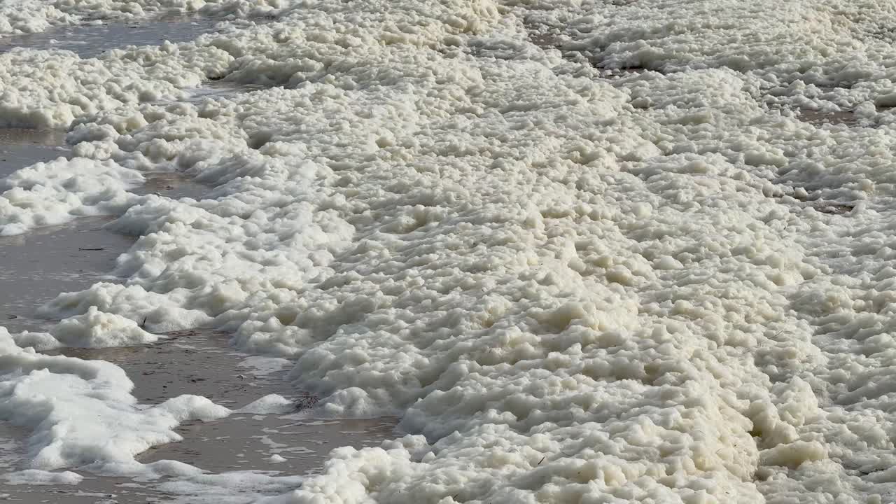 Thick, white foam blanket coastal waters, a direct result of a devastating algal bloom. This highlights severe environmental pollution and marine ecosystem degradation from climate change