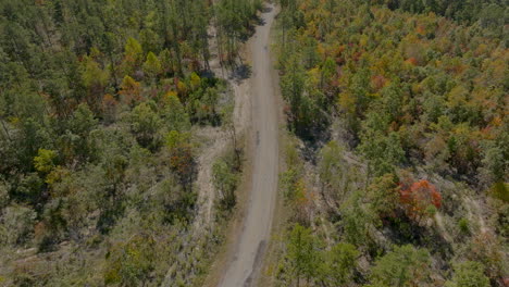 Carretera-Aérea-De-Paso-Elevado-En-Otoño-En-Un-Bonito-Día