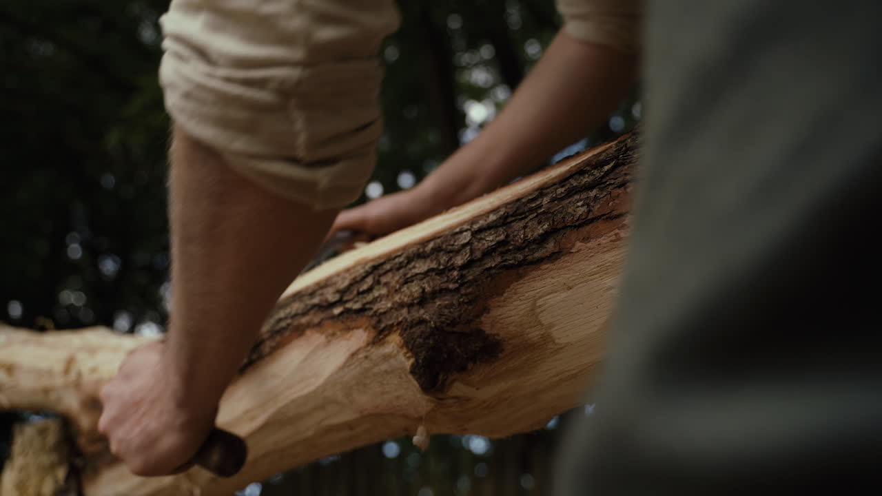 Close-up of wood being worked on in the forest