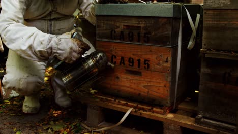 Imker-Räuchert-Den-Bienenstock-Mit-Einem-Bienenstockraucher