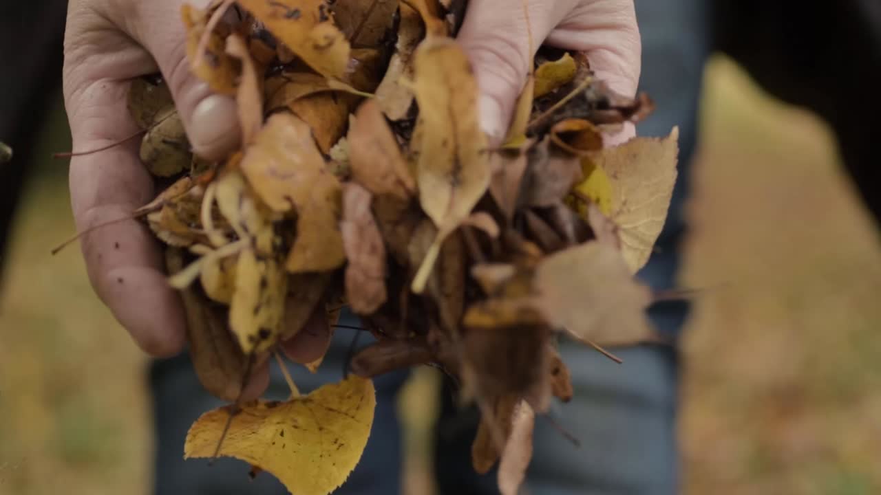Par de manos sucias dejando caer hojas de otoño y tierra