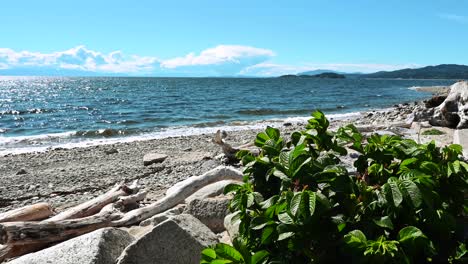 Davis-Day-Beach-in-British-Columbia