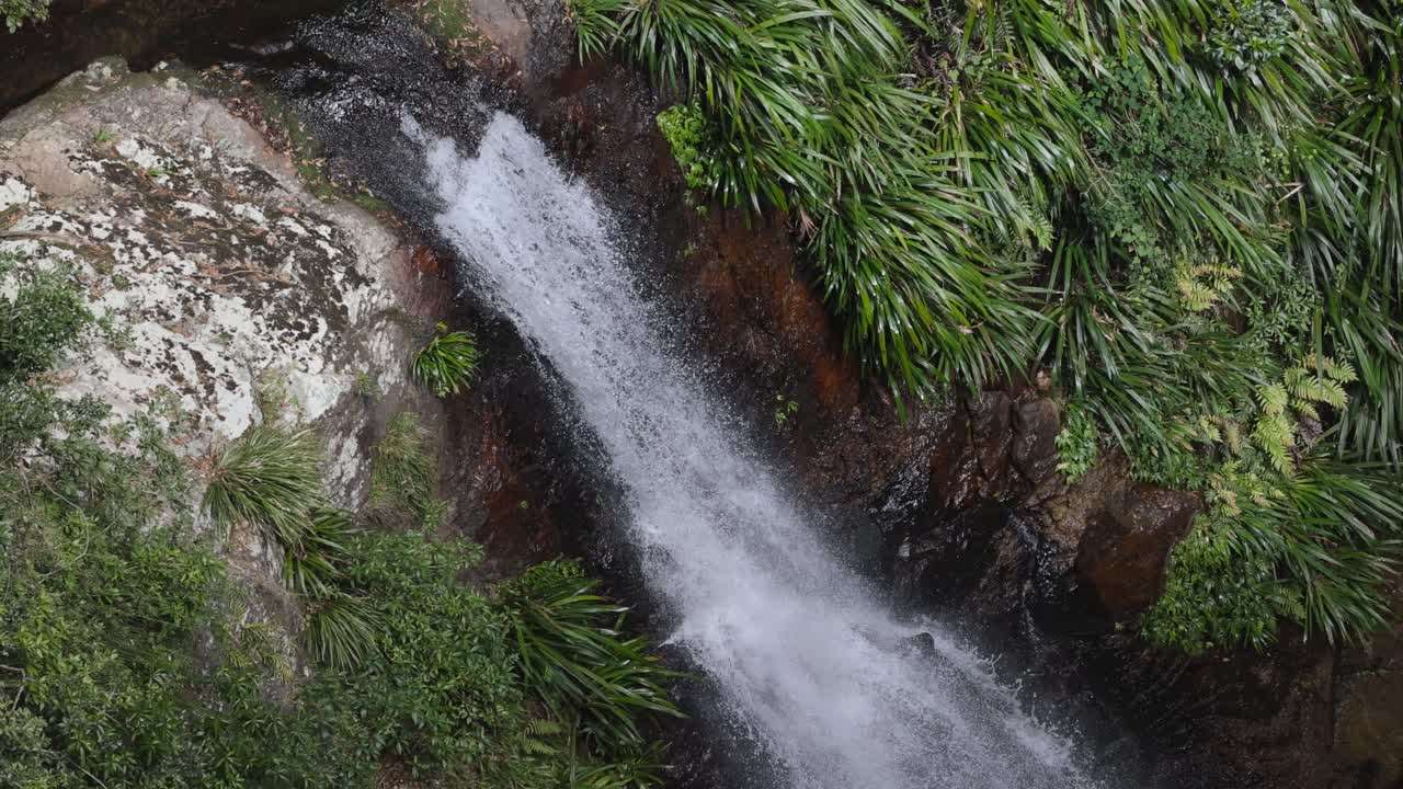 cascada en cascada en el entorno de la selva tropical exuberante