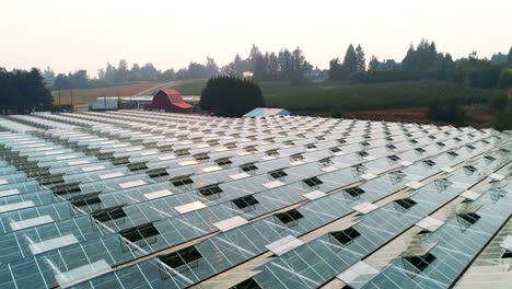 Green-farm-covered-with-rooftop-glass-4k