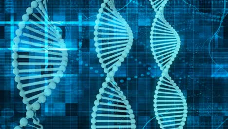 genetic code sequence of dna protein art