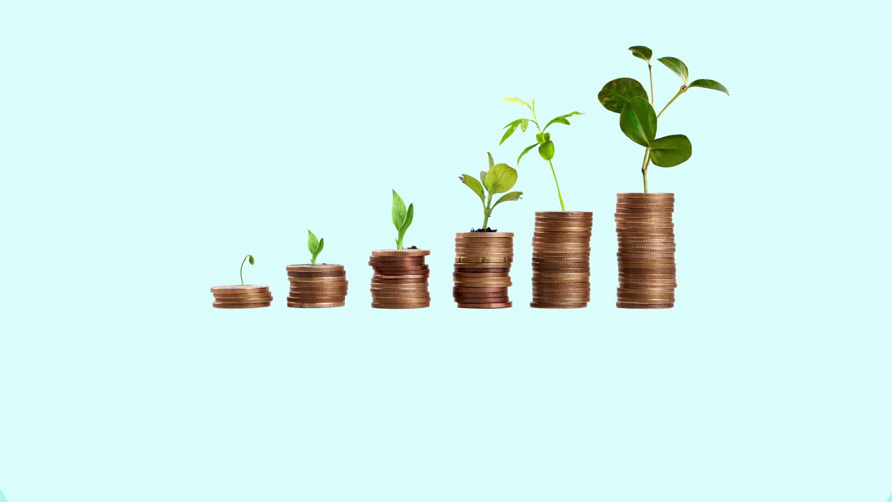 Coins and plant representing growth and investment