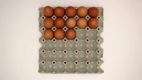 30 eggs in a box - stop motion animation