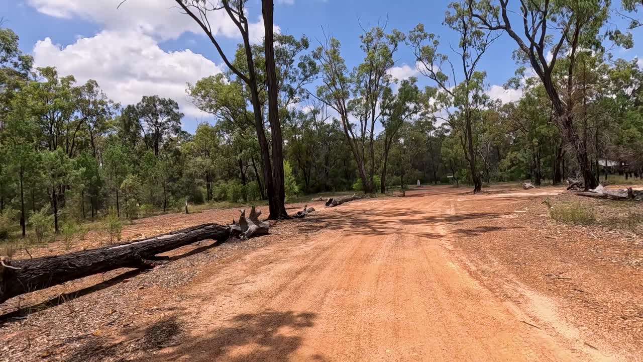 camino de tierra a través del paisaje boscoso australiano