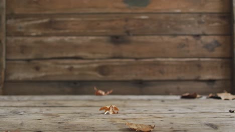 close up view of autumn leaves flying through air against wooden surface