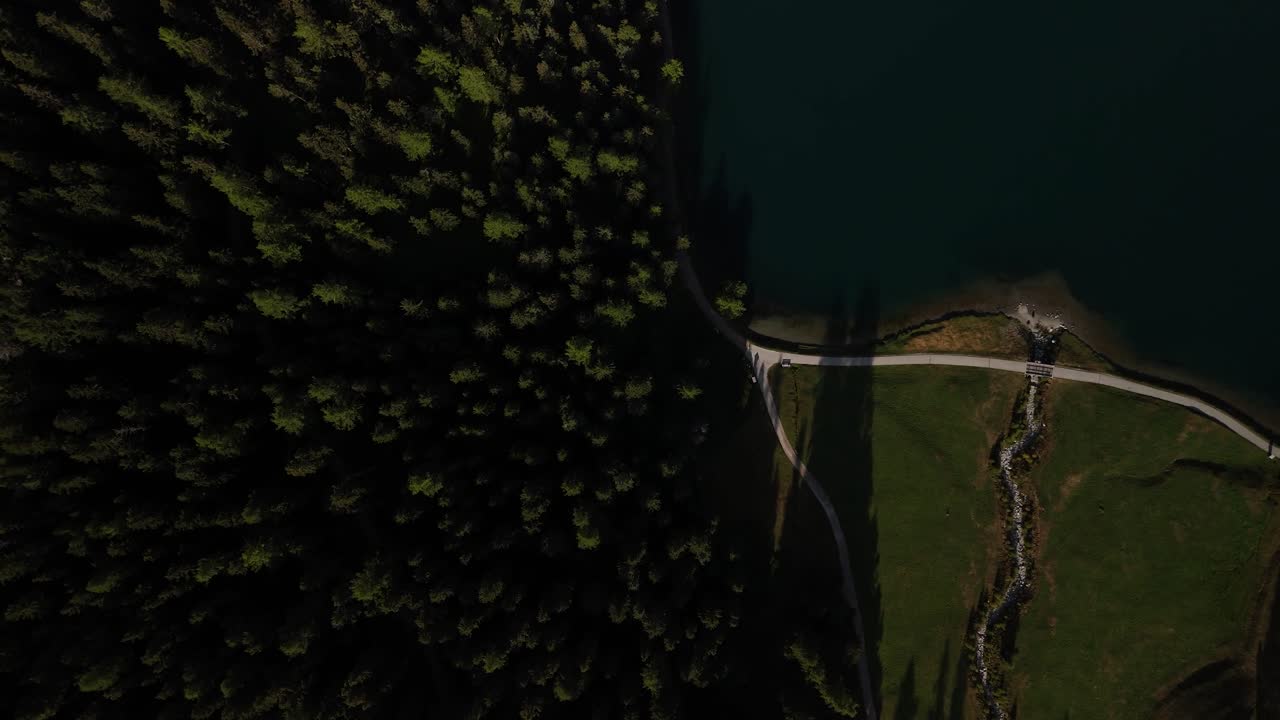 한 숲이 있는 지역 근처의 휘어지는 도로의 위에서 아래로 공중 사진