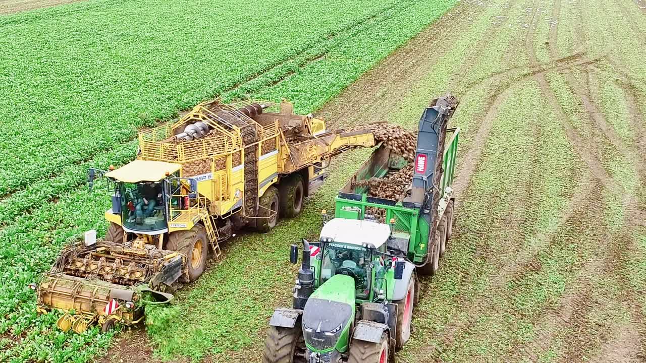 Sugarbeet harvester working its way down the field and off-loading sugarbeet into a tractor trailer unit driving alongside.