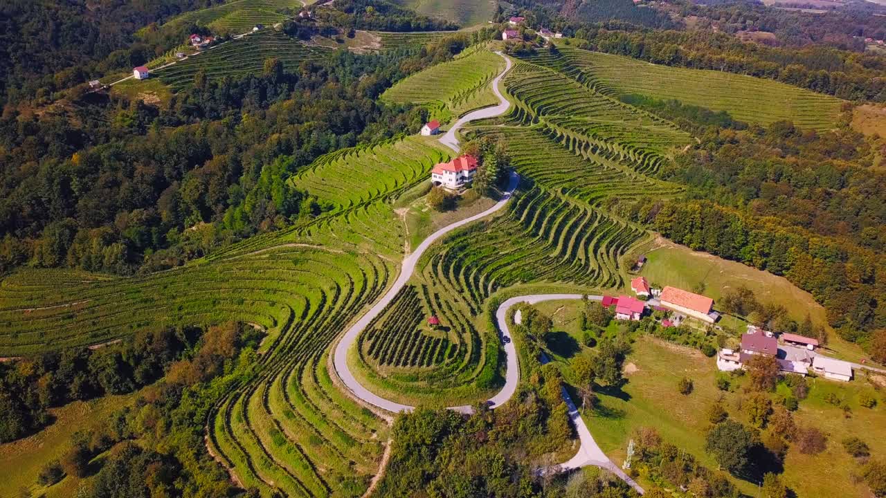 Spettacolari riprese aeree 4K con drone di Haloze, Slovenia.