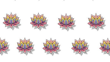 composition of rows of lotus flowers moving on white background
