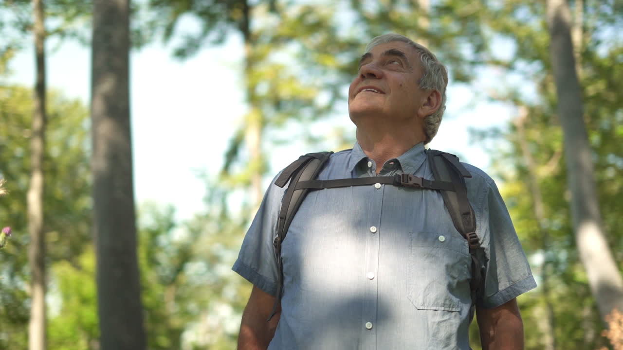 Uomo che fa escursioni in una foresta guardando gli alberi