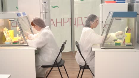 camera approaching shot of the professional medical technologists working in laminar air flow cabinet at the microbiological limit test room