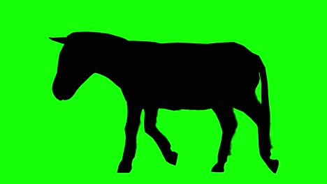 Silhouette-of-a-donkey-walking-on-green-screen,-side-view