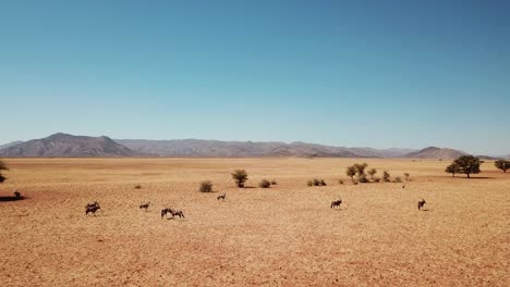 namibia desierto de kalahari en áfrica