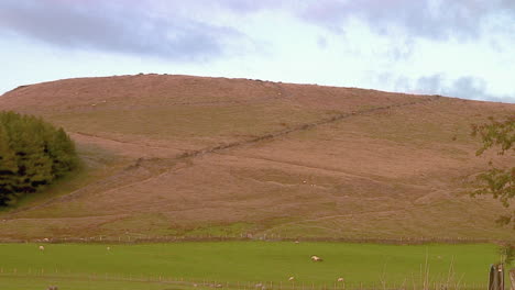 una vista sobre el paisaje de los valles de derbyshire en el verano en el sol de la tarde