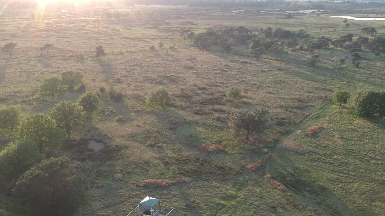 prado salvaje y torre de vigilancia del bosque en la tarde soleada, vista aérea
