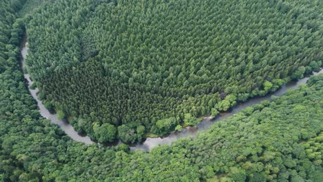 Tiefes,-üppiges-Waldgebiet-Eingebettet-In-Die-Sanfte-Hügellandschaft-Mit-Dem-Fluss-Tamar-In-Cornwall-Und-Devon