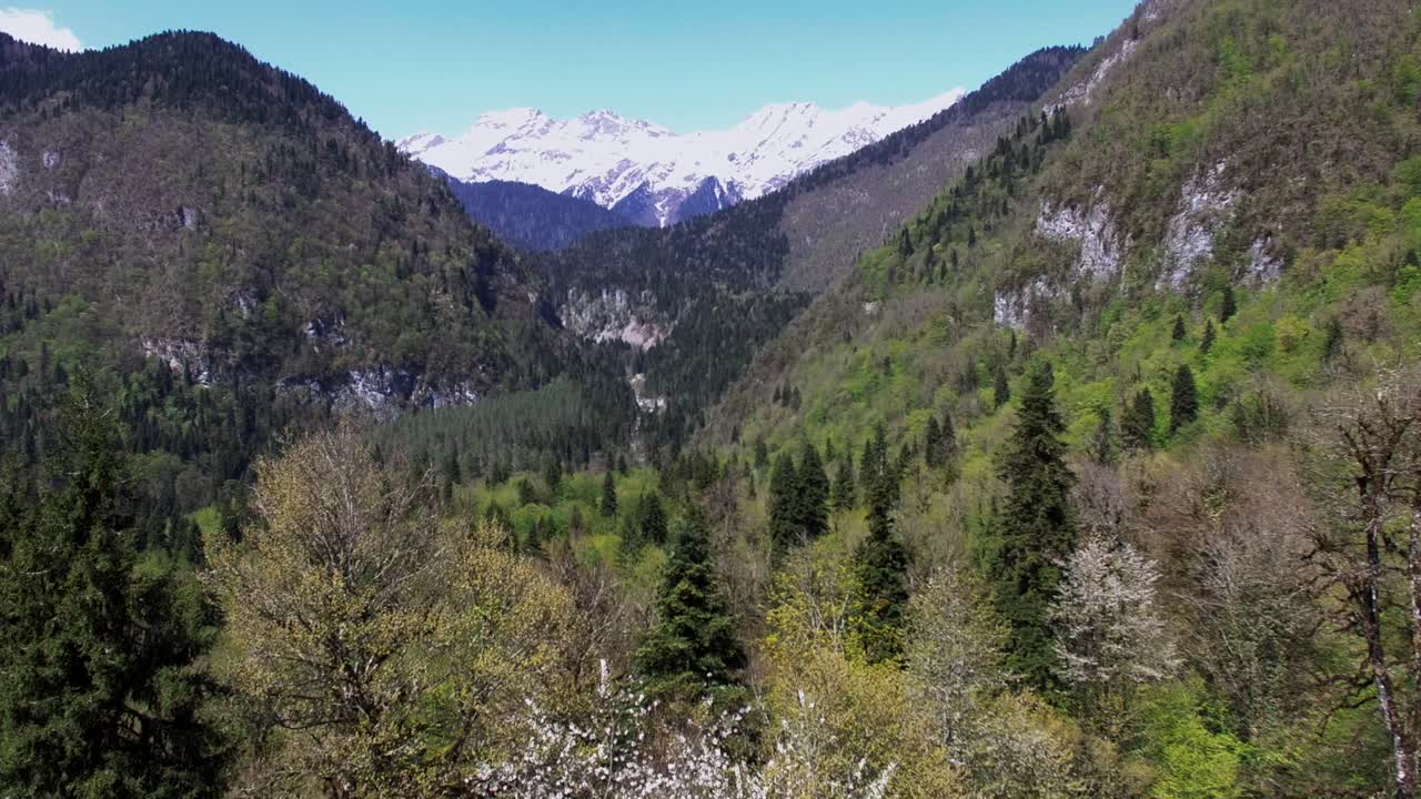 valle de montaña en primavera
